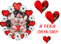 file_81848547