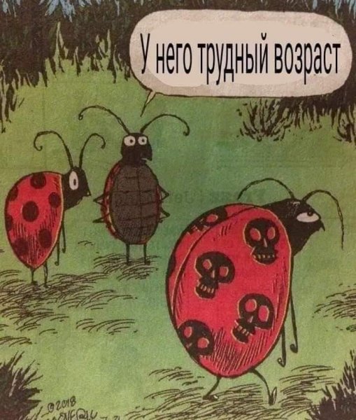 FB IMG 1730747786036
