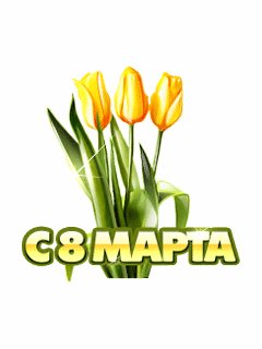АнимацыяС8марта 240x320