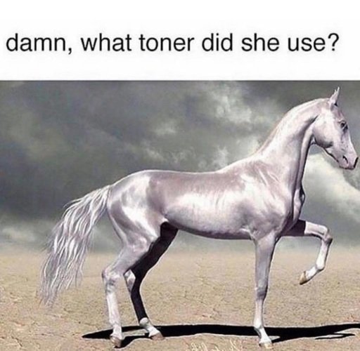 x500