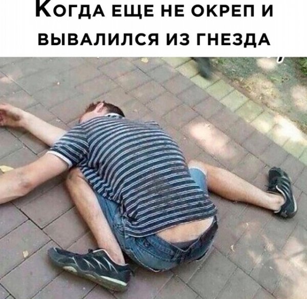 file_99301220