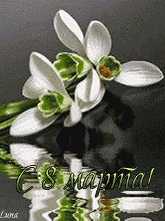 file_14410917