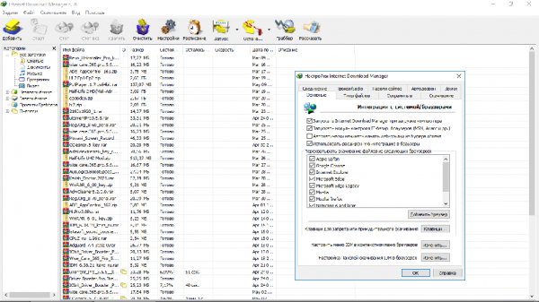 Internet Download Manager 6.38.25 и серийный номер