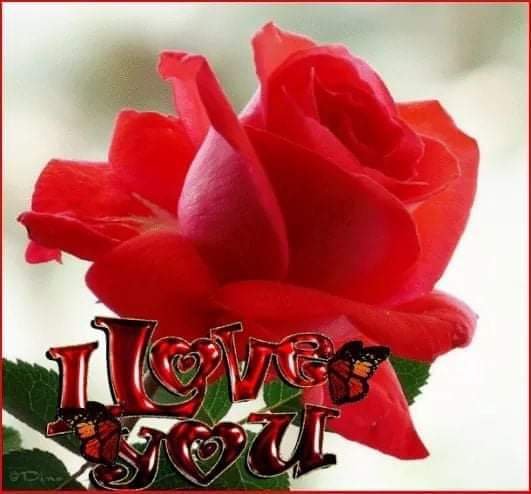 FB IMG 1592747684987