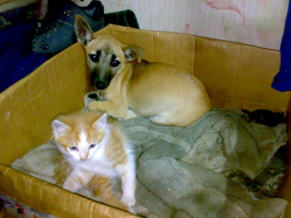 file_100123780