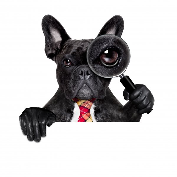 Shutterstock 475944640