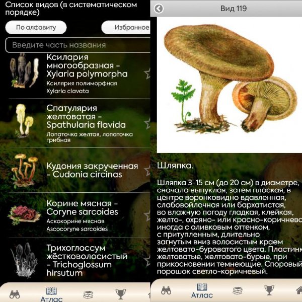 Грибы ПРО (1.0.1) Разблокированы все грибы