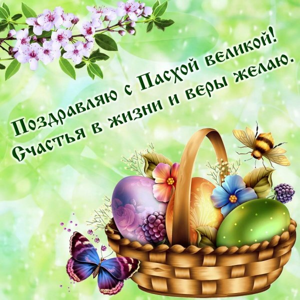 file_84185666