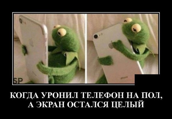 file_78296443