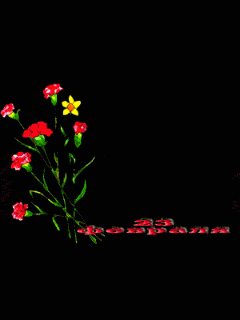 Ani 1