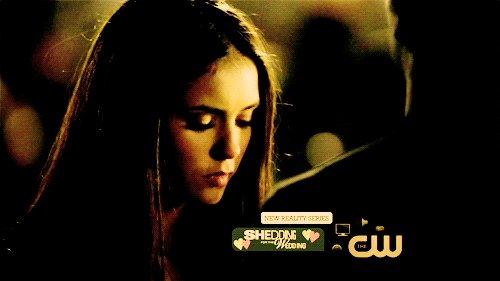 damon and elena