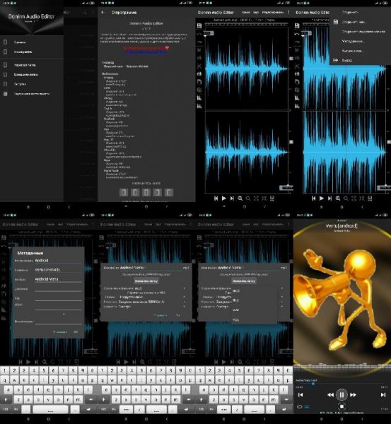 DoninnAudioEditor v1.10pro(13)mod.arm