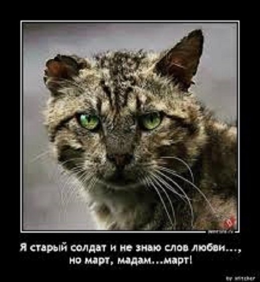 Но, март, мадам, март!