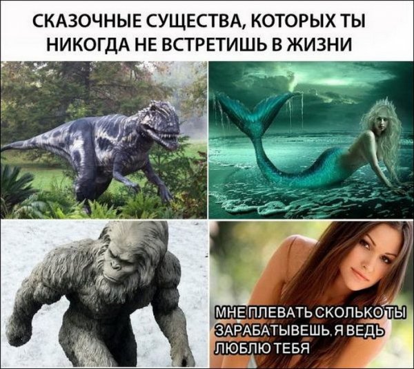 foto-1
