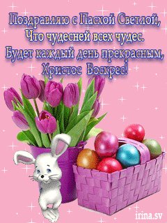 file_84182990