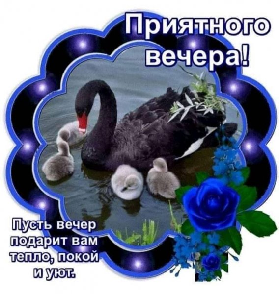 Приятного вечера