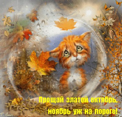 file_94939278