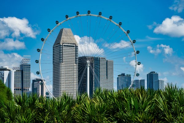 Singapore Skyscrapers Flyer Grass Ferris wheel