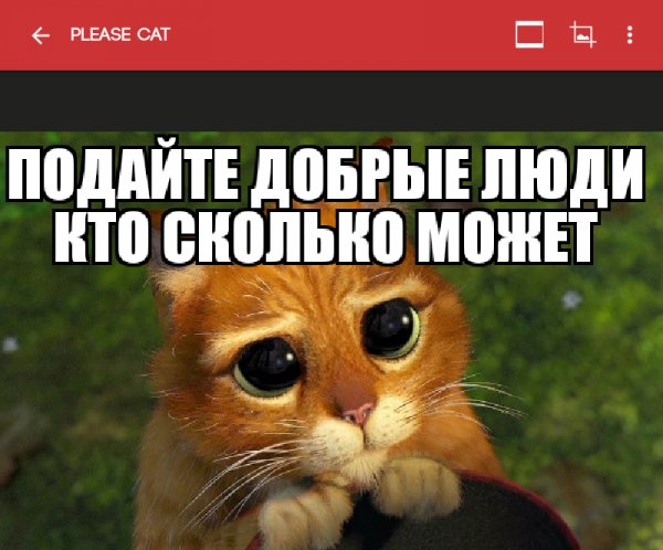 Meme Generator Pro GP 4.013