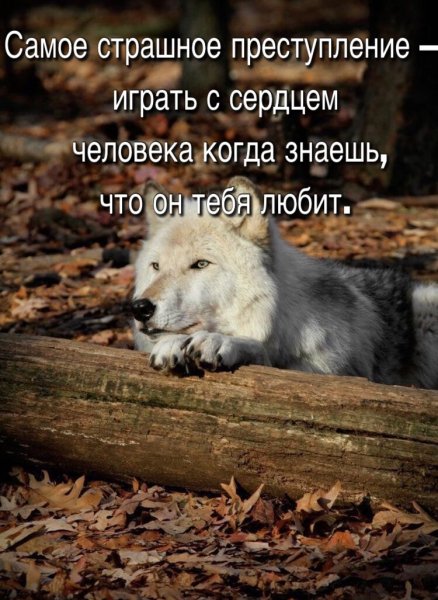 Преступление