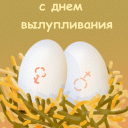 file_919623