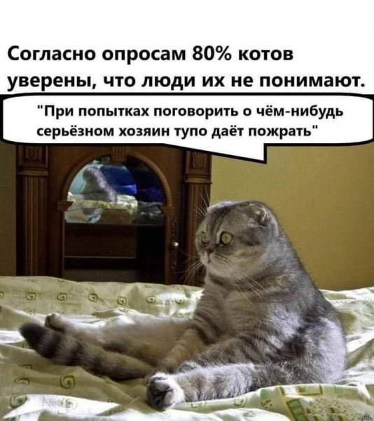FB IMG 1756620389174