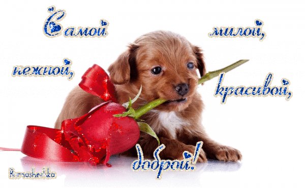самой-самой