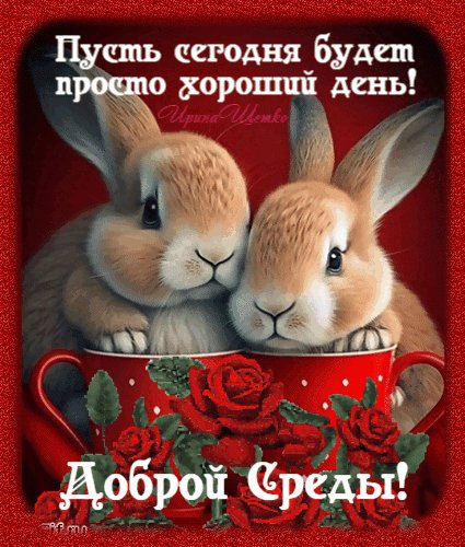 Анимированная открытка доброй среды (1)