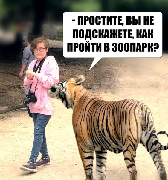 file_103156208