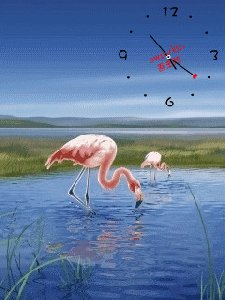 Beauty priroda