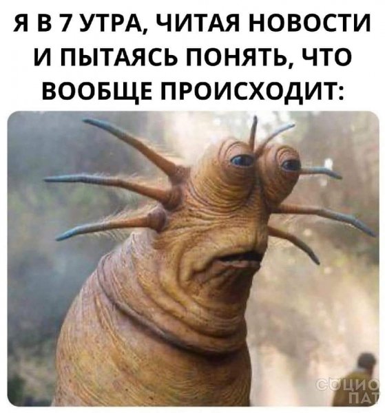 FB IMG 1773249067457