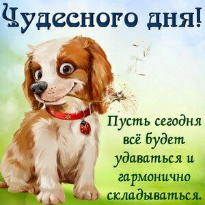 IMG 20181111 194038 246