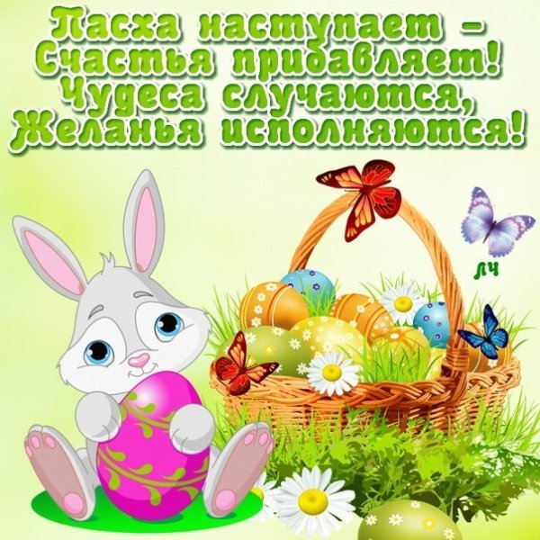 file_84185322