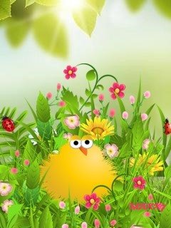 file_55875765