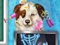 Dog Pet Rescue