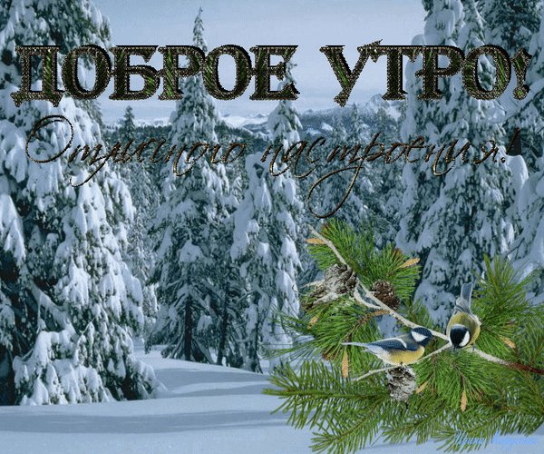 Анимированная открытка доброе утро фотообои