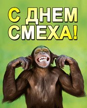 Chita