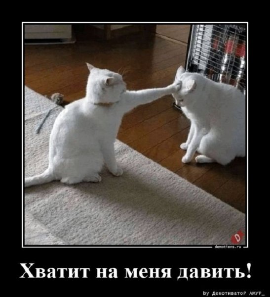 Хватит на меня давить