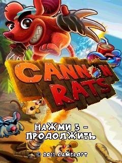Cannon Rats