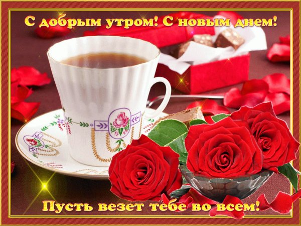 сайт59-1024x768