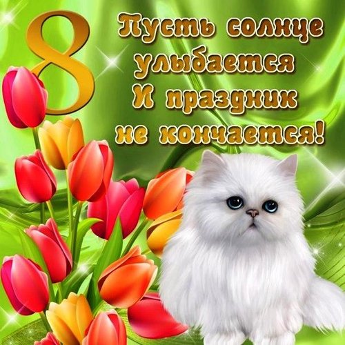 8Mapта