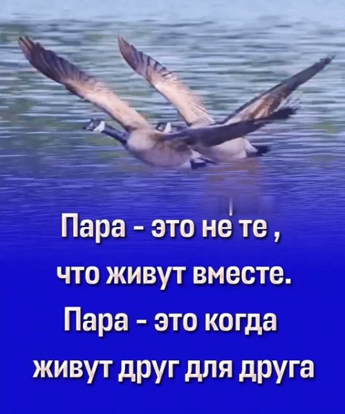 IMG 20231115 021108