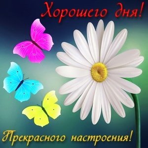 IMG 20181115 163459