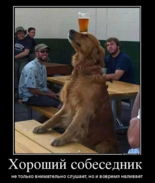 Хороший собеседник