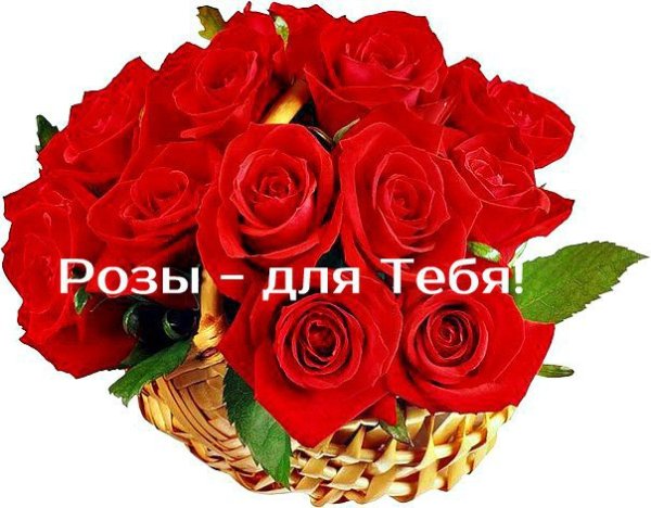 OVWq8IjFA E