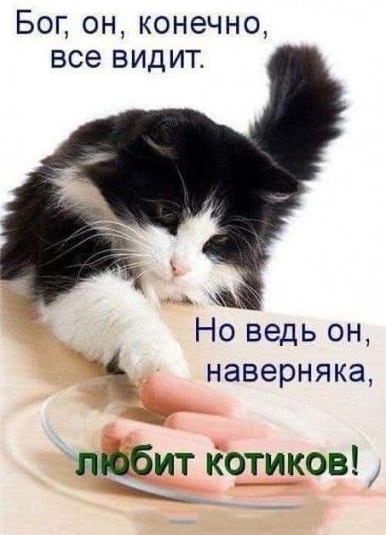 FB IMG 1764955734502