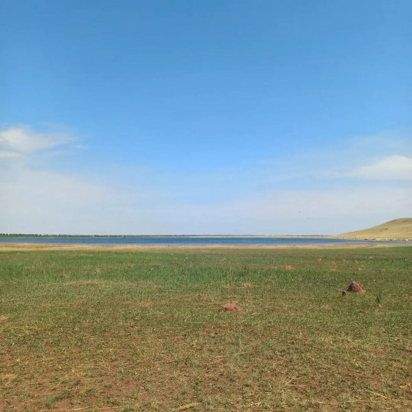 IMG 20240531 000809