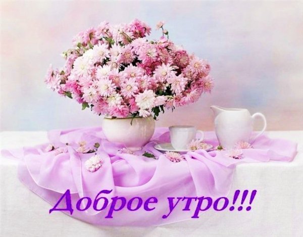 IMG 20181123 151402