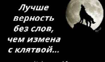 Luchwe vernostb bez slov