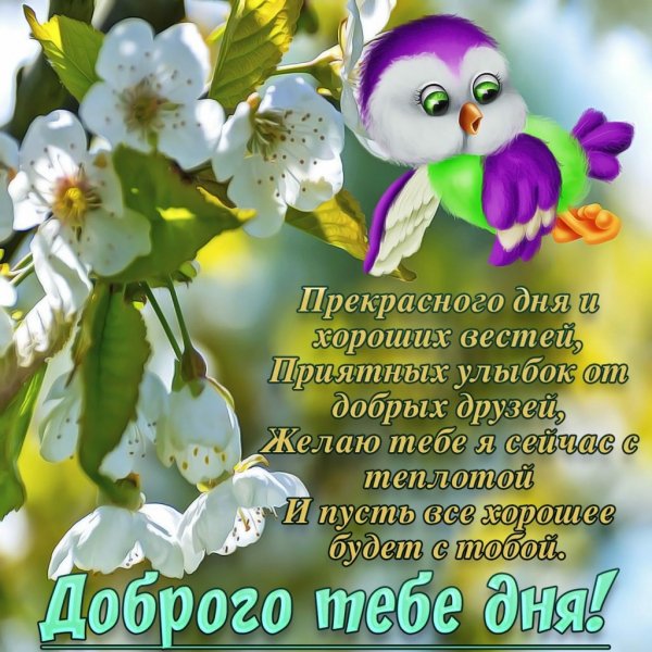 Доброго дня